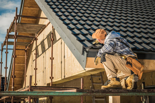 Best Roof Gutter Cleaning  in , MI