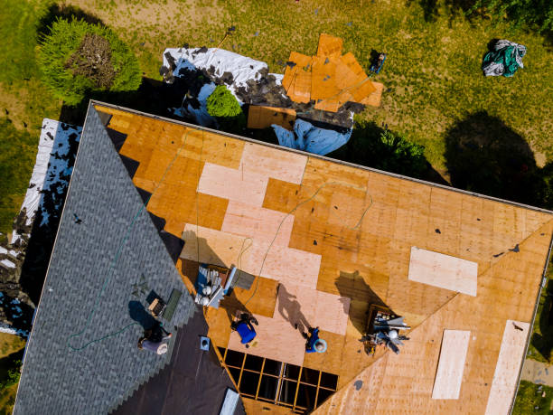 Best Storm Damage Roof Repair  in , MI